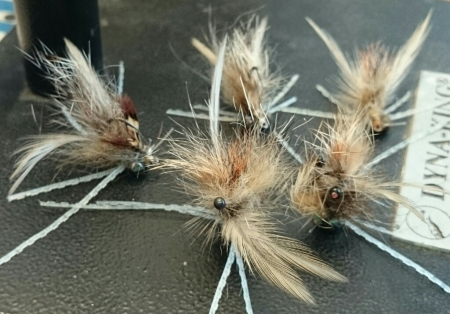 b0259124_11085143.jpg