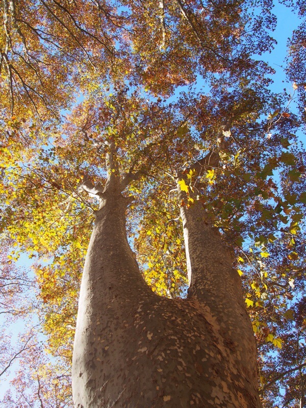 e0343028_01015650.jpg