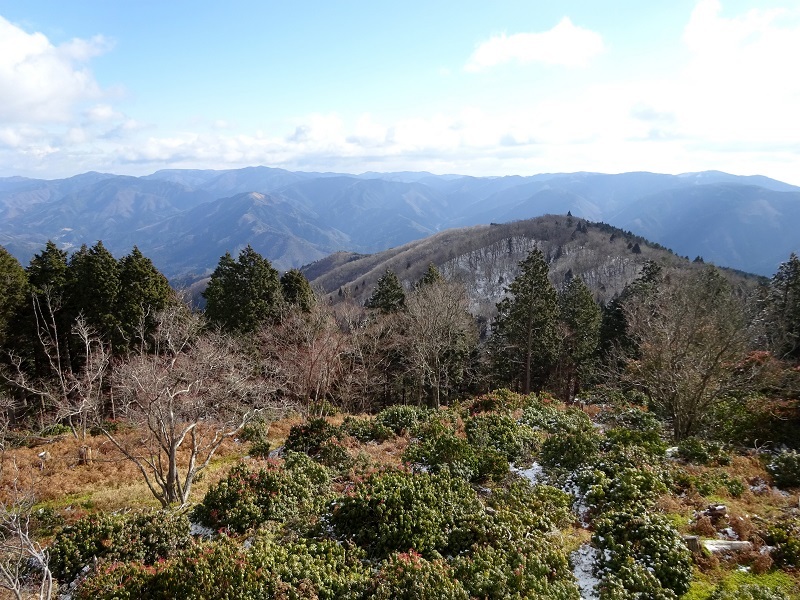 d0075131_23265130.jpg