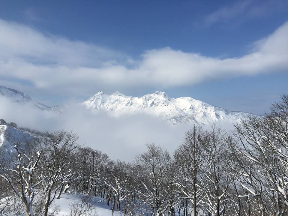 a0119132_16461224.jpg