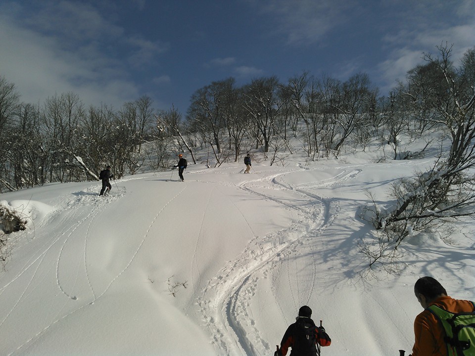 a0119132_16472319.jpg