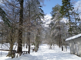 b0312438_11424676.jpg