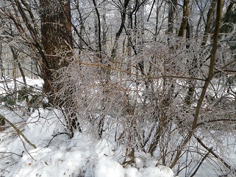 b0312438_11430948.jpg