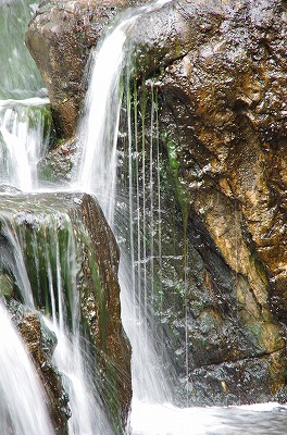 a0235077_168414.jpg
