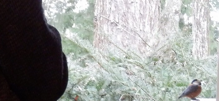a0091680_22521181.jpg