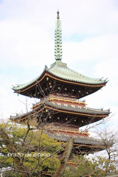 c0212987_1784716.jpg