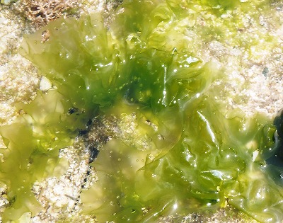 f0338188_17344489.jpg