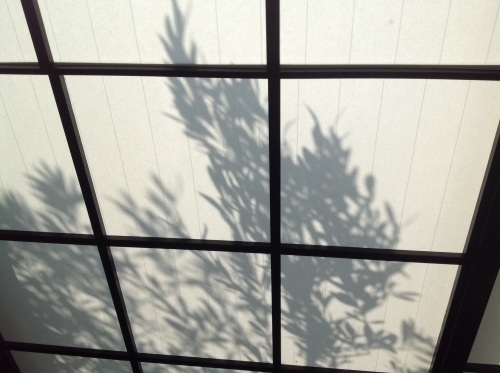 f0347891_21324215.jpg