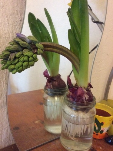 b0110999_23331881.jpeg