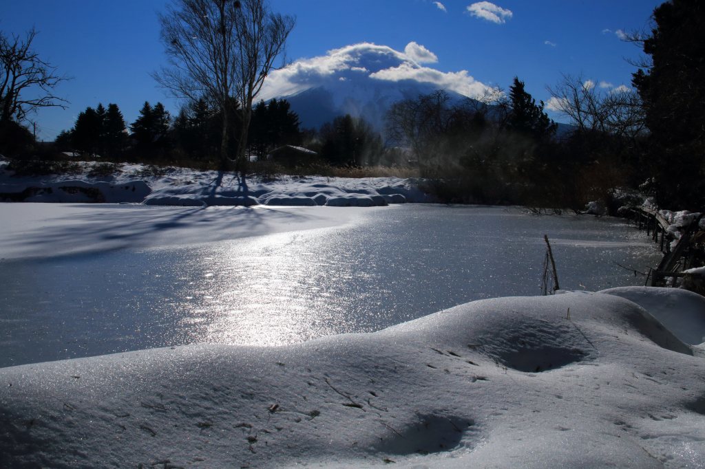 a0188405_02031346.jpg