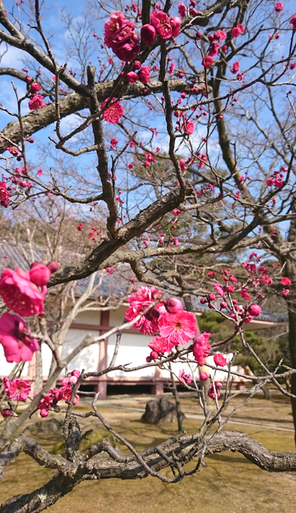 b0224009_13143340.jpg