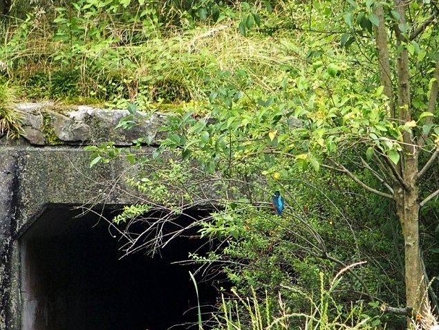e0339317_21003841.jpg