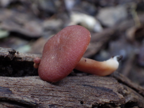e0352220_23083452.jpg