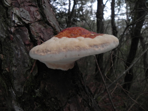 e0352220_23175051.jpg