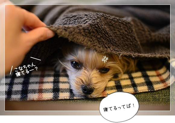 d0179828_14232257.png