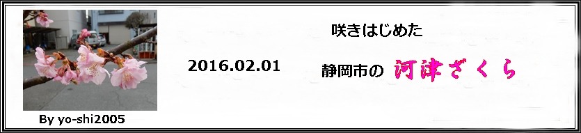 e0033229_17494558.jpg