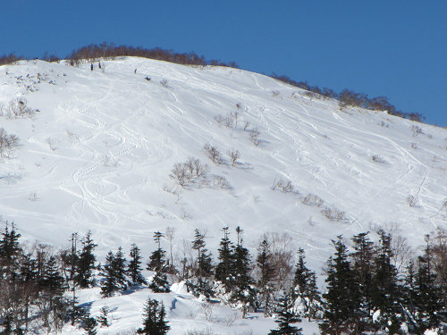 c0081645_21541676.jpg