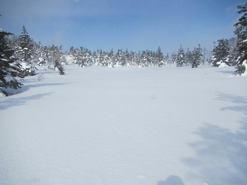 c0081645_2254531.jpg