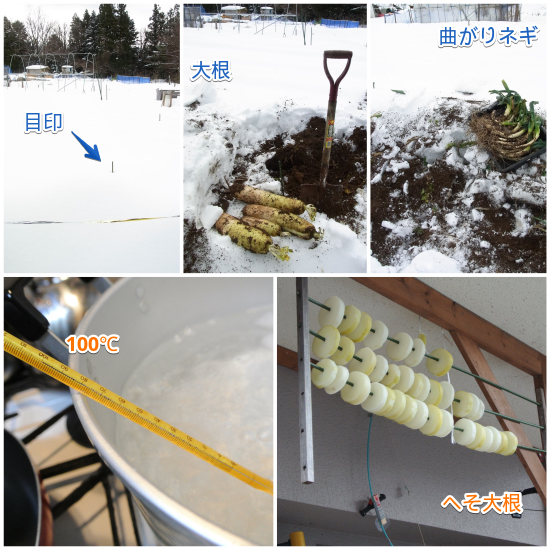 c0063348_2120388.png