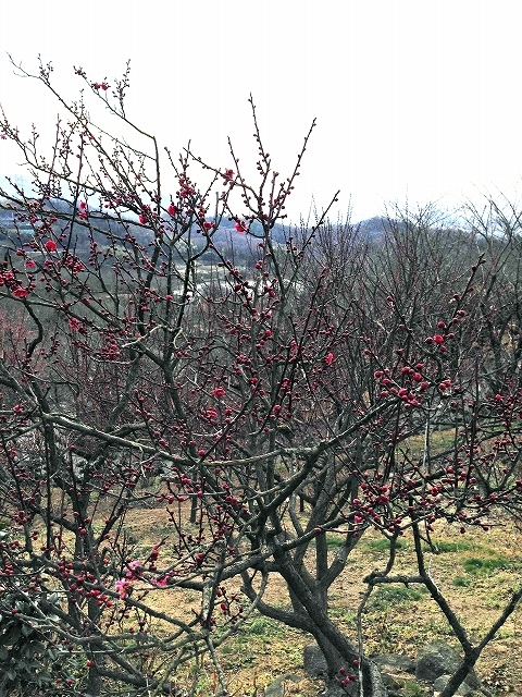 d0031853_23531213.jpg