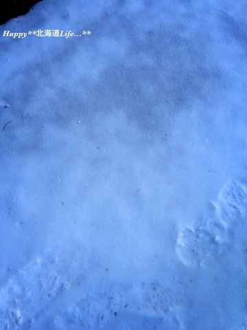 a0337860_22574997.jpeg