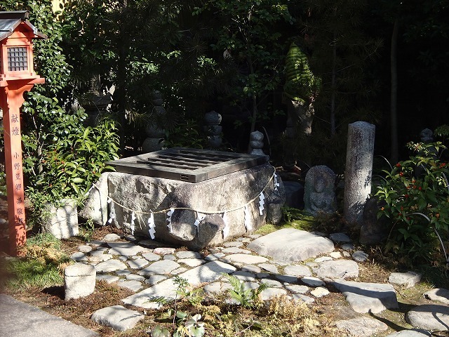 b0044663_0313982.jpg
