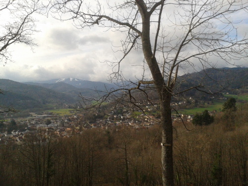 d0340774_20143626.jpg
