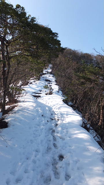 c0022275_919935.jpg