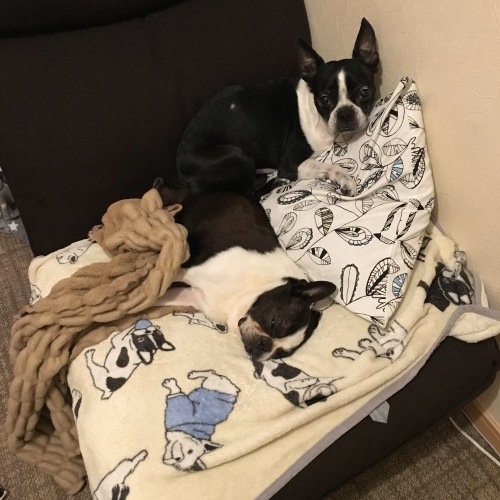 d0041575_22434161.jpeg