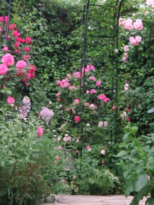 d0049381_0413175.jpg