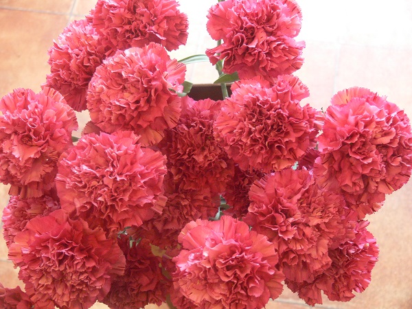 e0140986_1562176.jpg