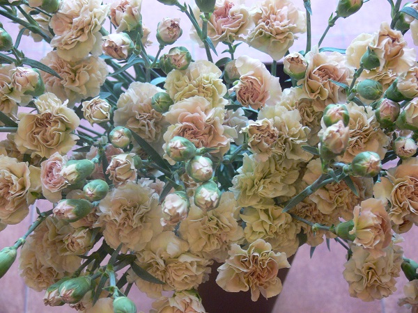 e0140986_15815.jpg