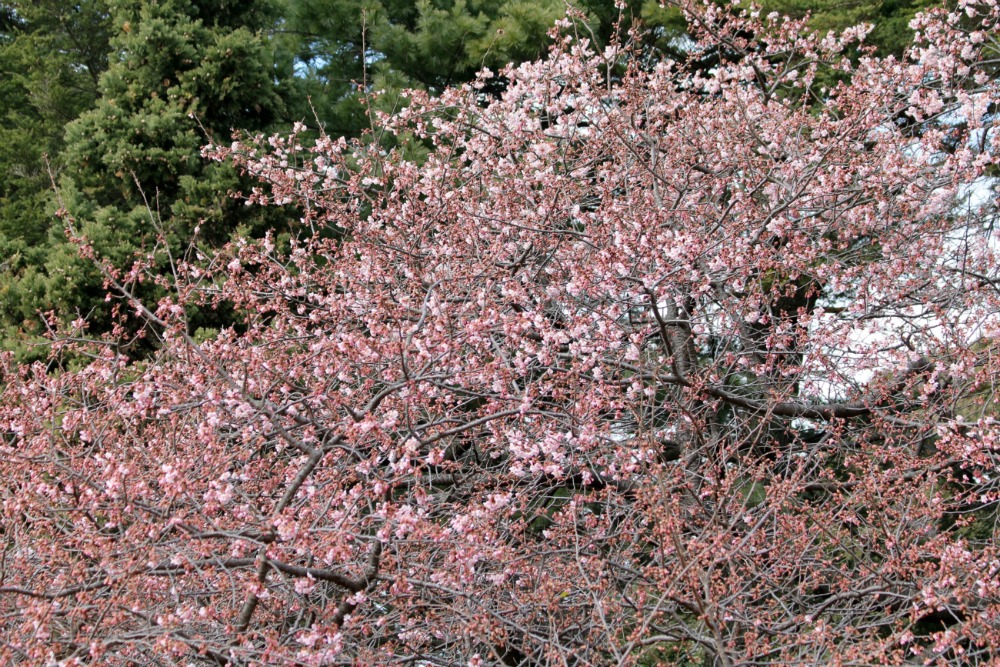 a0127090_2325042.jpg