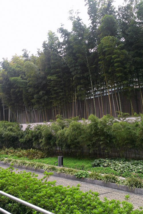 c0001491_2314116.jpg