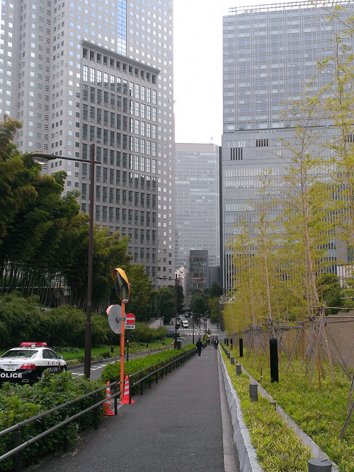 c0001491_2314264.jpg