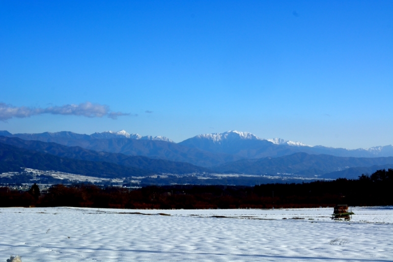 b0177596_15345030.jpg