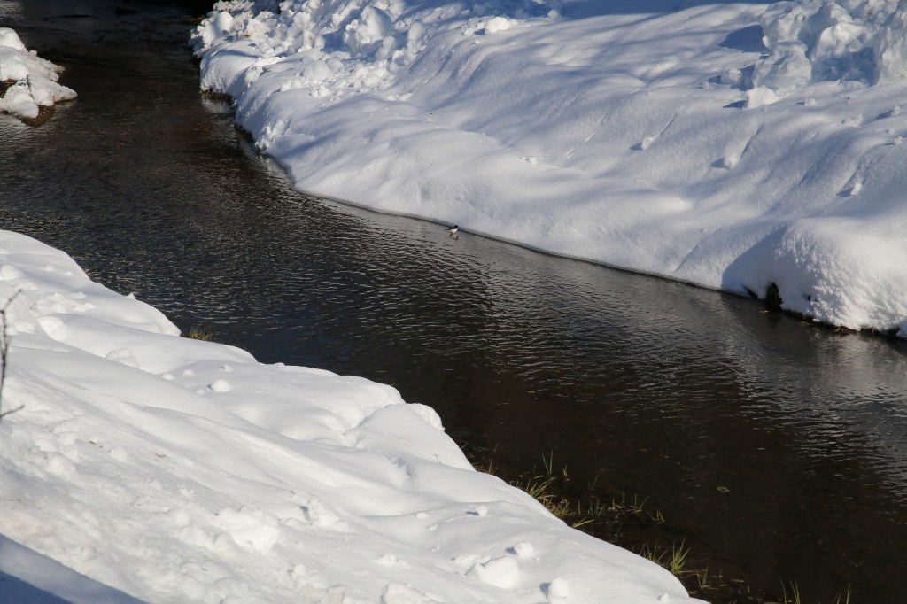 a0188405_12500980.jpg