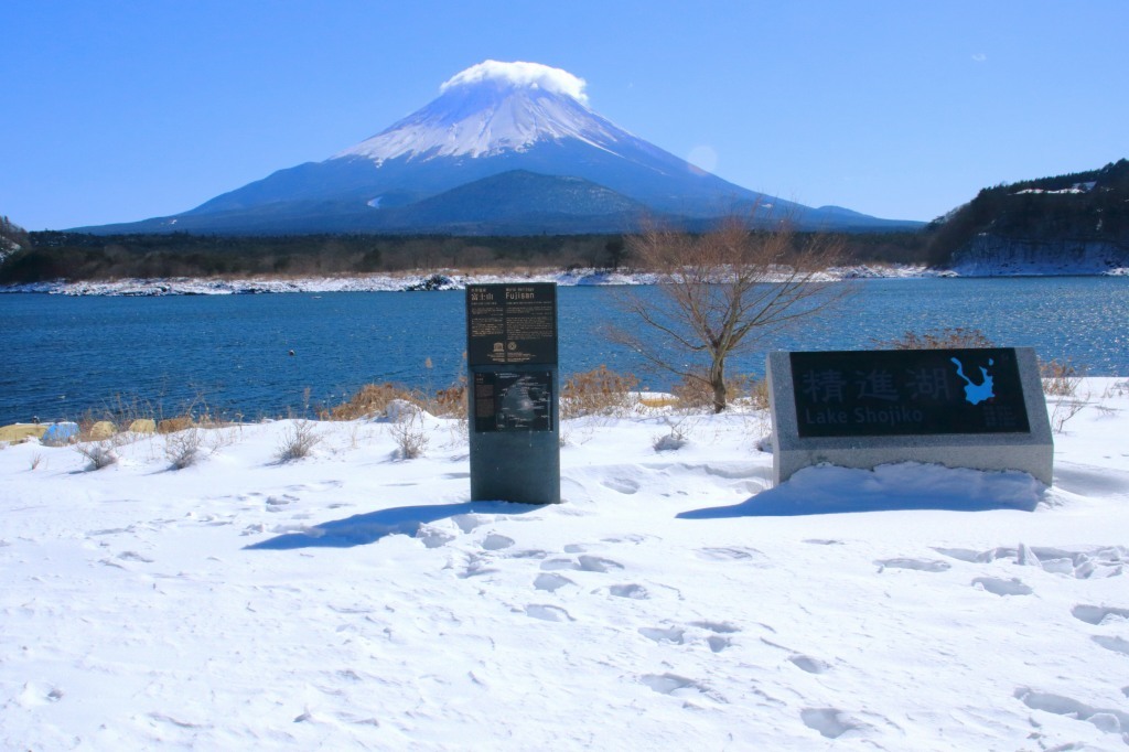 a0188405_22272436.jpg