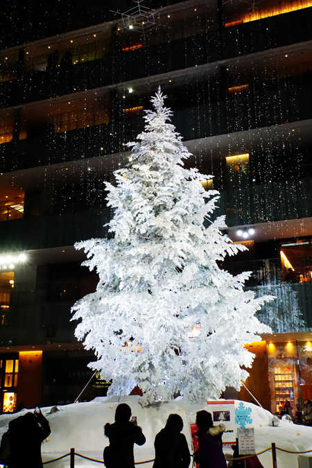 a0263109_11461859.jpg