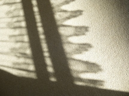 b0198109_21444182.jpg