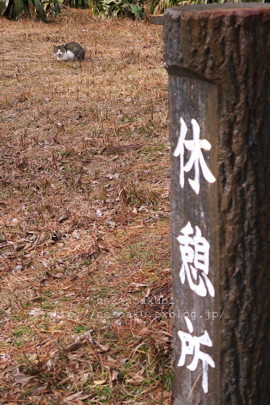 b0003512_1424428.jpg