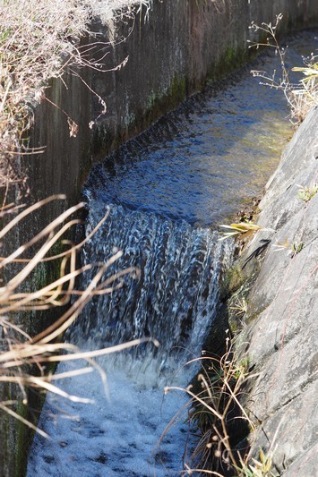 c0369423_22154124.jpg
