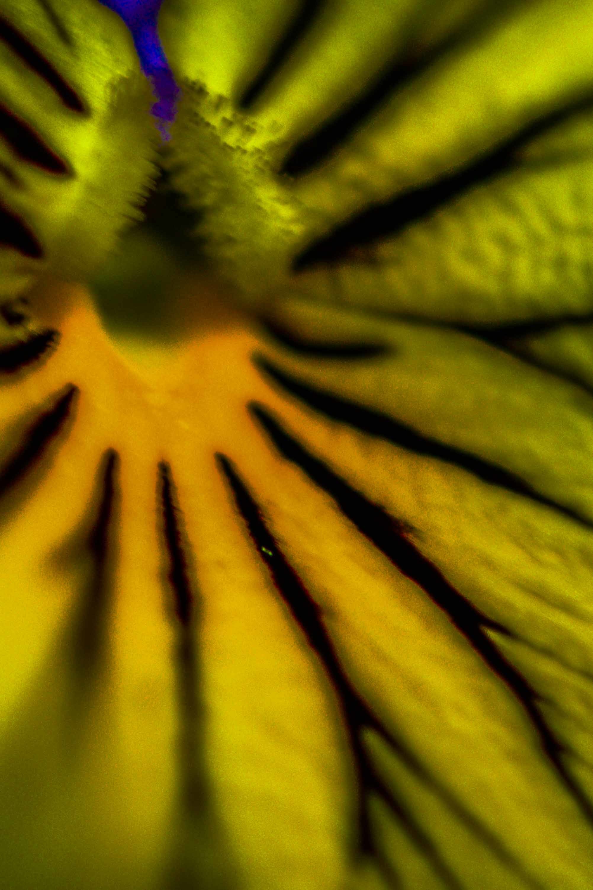 d0265224_20463736.jpg