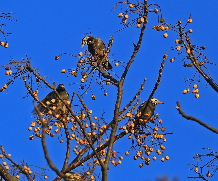 c0104227_23424616.jpg
