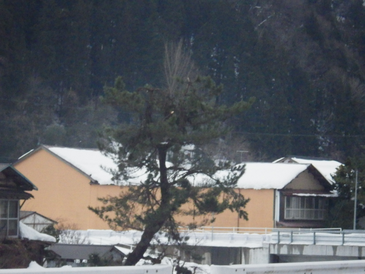 c0300035_9272076.jpg