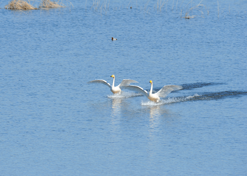 d0290240_16170757.gif