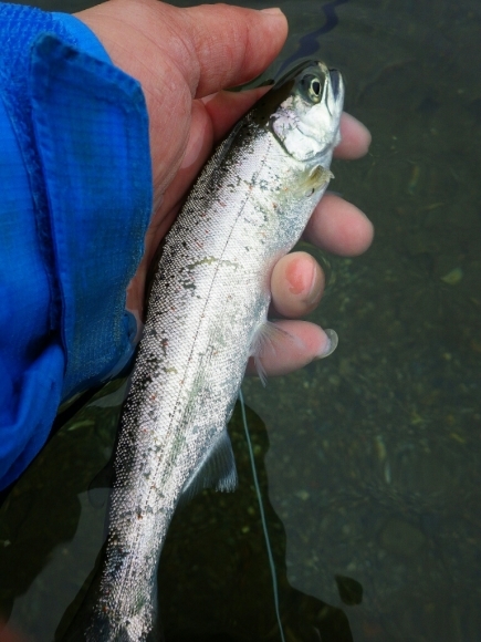 f0055244_08464738.jpg