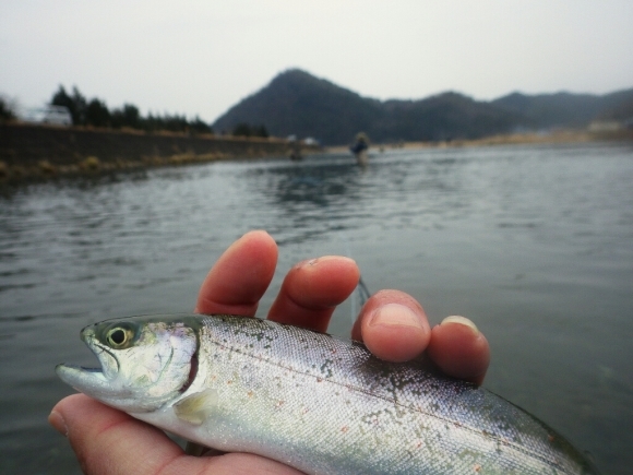 f0055244_08465132.jpg