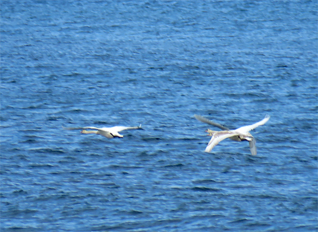 f0214649_1549127.jpg