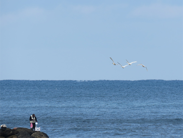 f0214649_1550937.jpg